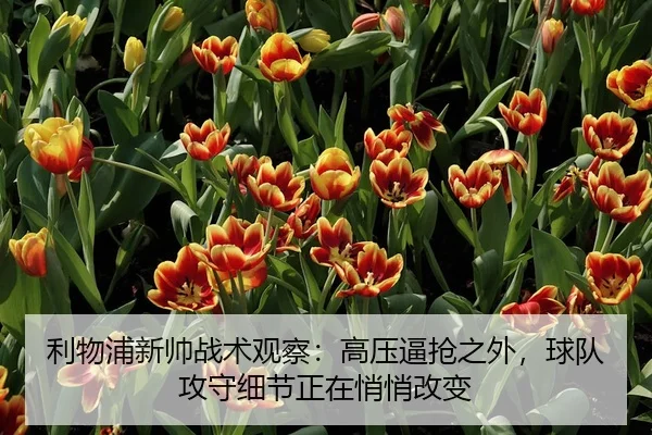 利物浦新帅战术观察：高压逼抢之外，球队攻守细节正在悄悄改变 - qusports